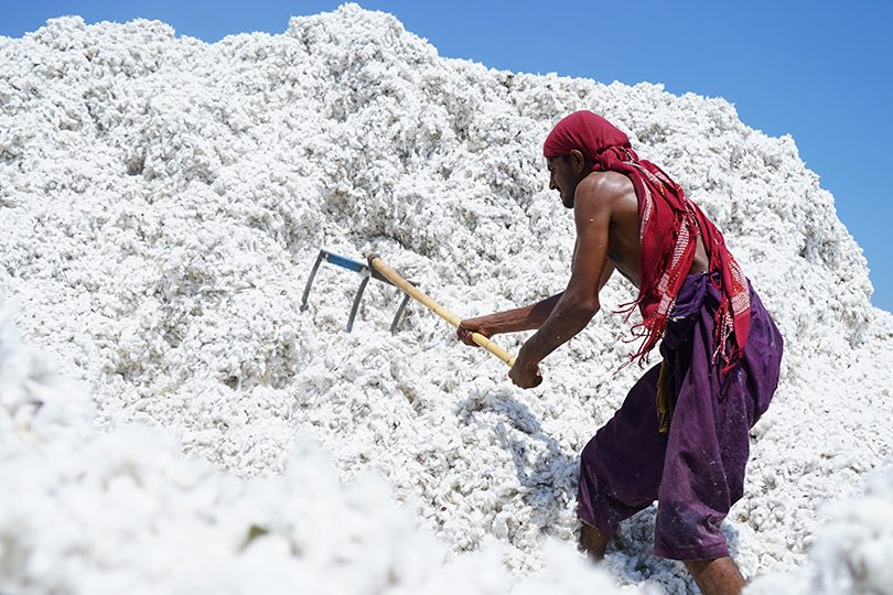 SEL00535
