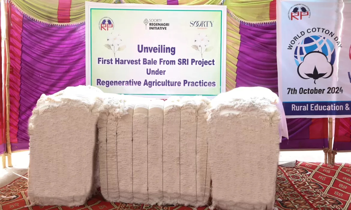 Celebrating World Cotton Day with a Milestone for Regenerative Agriculture scaled